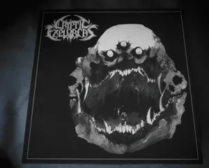 Cryptic Explorers box cover