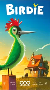 Birdie box cover