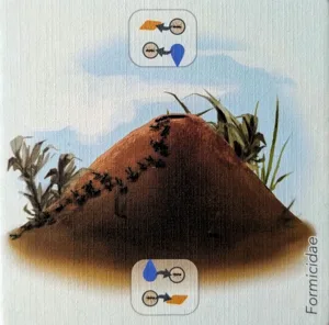 Petrichor: Anthill Promo Tile box cover