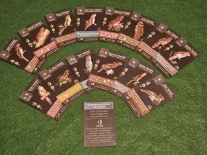 Frogmouth Fan Pack (fan expansion for Wingspan)