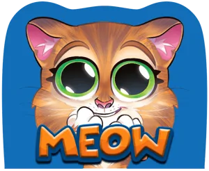 MEOW box cover