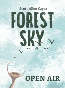 Forest Sky: Open Air box cover