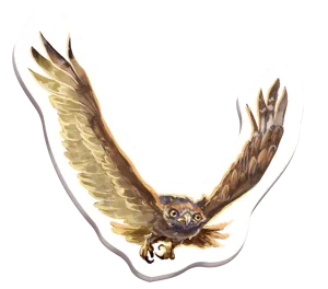 Redwood: The Majestic Bird of Prey box cover