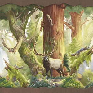 Redwood: Big Box box cover