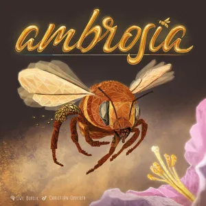 Ambrosia box cover