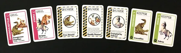 Jumanji Fluxx: Bonus Pack