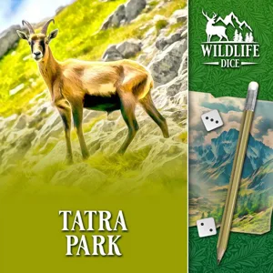 Wildlife Dice: Tatra Park box cover