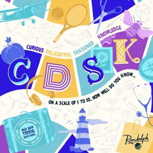 CDSK Travel box cover