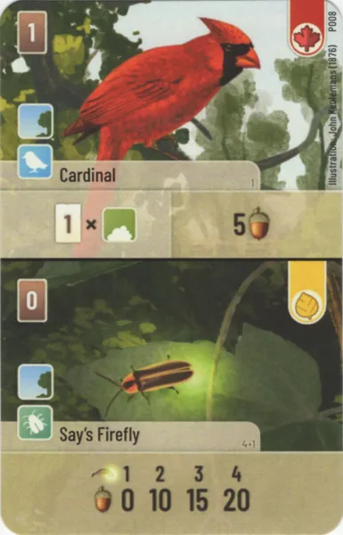 Forest Shuffle: Cardinal / Say's Firefly Promo Card