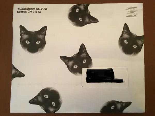 Cards Against Humanity: Pussy Pack