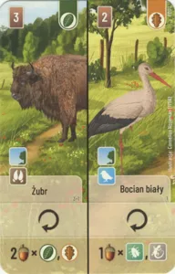 Leśne Rozdanie: Żubr / Bocian biały Promo Card box cover