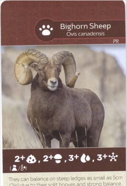 Earth: Bighorn Sheep/Rocky Mountain Elk Promo Card