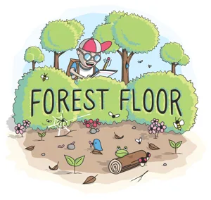 Forest Floor box cover