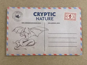Cryptic Nature: Cities Mini Expansion box cover