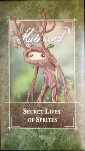 Mythwind: Secret Lives of Sprites box cover