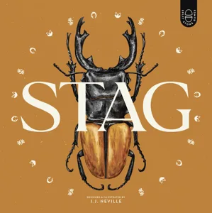 Stag box cover