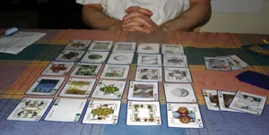 Quincunx box cover