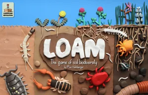 Loam box cover
