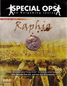 Raphia box cover