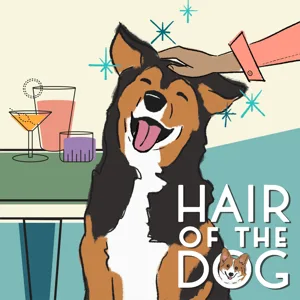 Hair of the Dog box cover