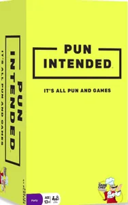 Pun Intended box cover