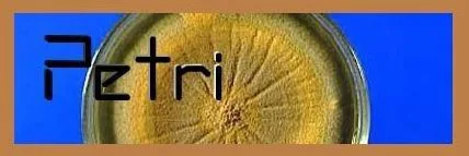 Petri
