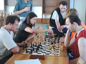 Bughouse Chess box cover