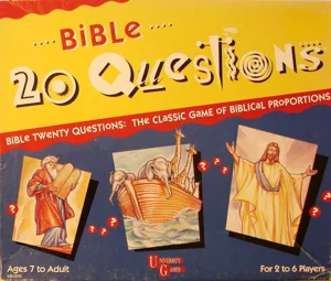 Bible 20 Questions box cover