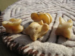 Shagai Bones box cover