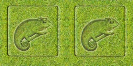 Zooloretto: Exotic – Chameleon