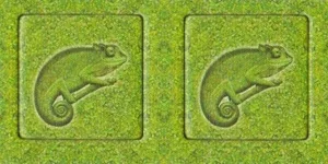 Zooloretto: Exotic – Chameleon box cover