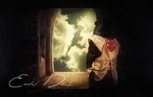 Enki-Des:  The Soul Gates box cover