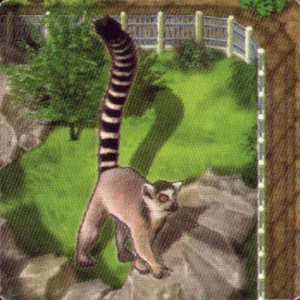 Zooloretto: Catta box cover