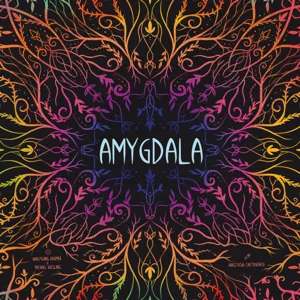 Amygdala box cover