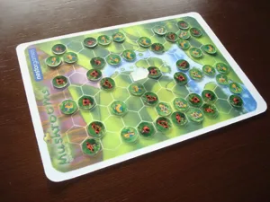 Mushrooms box cover