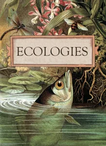 Ecologies box art