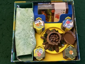 Organizer Insert for Cascadia