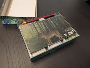 Forest Shuffle / Mischwald insert - all expansions