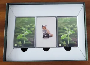 Forest Shuffle box divider