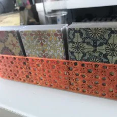 Pandemic Iberia card organizer