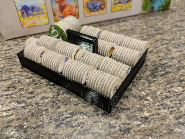 Evolution Box Organizers