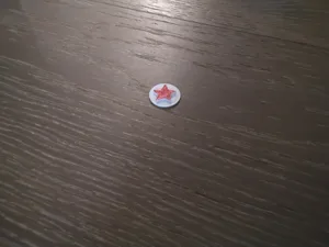 Russia victory medal memoir 44