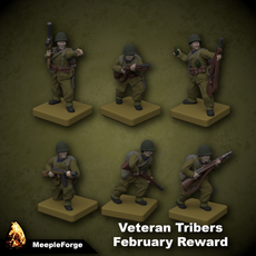 WW2 Infantry Polish Reinforcements (Ideal for Memoir 44 Board Game)