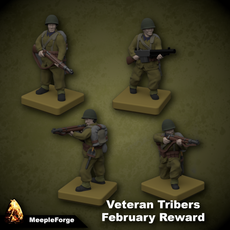 WW2 Infantry Polish Core (Ideal for Memoir 44 Board Game)