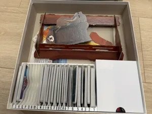 Paleo Organizer/Insert (with expansions): remix