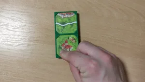 Magnetic Case for Carcassonne Tiles