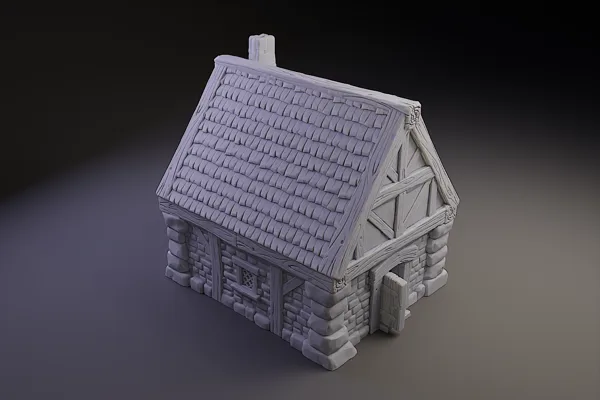 Medieval Village house for Tabletop Rpg