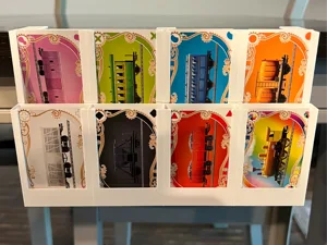 Ticket to ride card holder