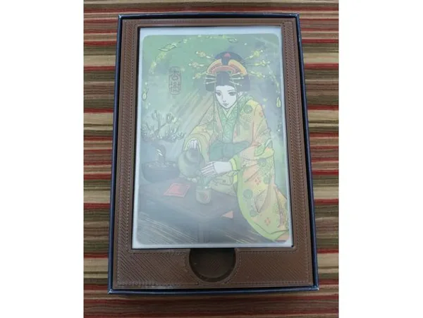 Hanamikoji Organizer
