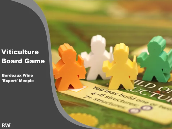 Viticulture Bordeaux 'Expert' Wine Meeple
